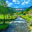 阿坝旅游 缩略图 10