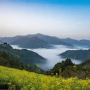 黄山旅游 缩略图 1