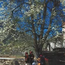 阿坝旅游 缩略图 1