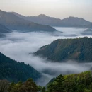 黄山旅游 缩略图 3