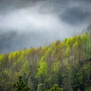 黄山旅游 缩略图 2