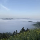 黄山旅游 缩略图 5