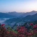 黄山旅游 缩略图 5