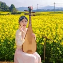 黄山旅游 缩略图 10