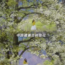 阿坝旅游 缩略图 5