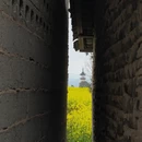 黄山旅游 缩略图 3