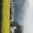 黄山旅游 缩略图 12