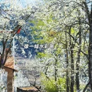 阿坝旅游 缩略图 7