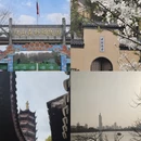 南京旅游 缩略图 4