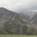 伊犁旅游 缩略图 11