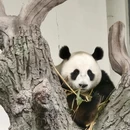 苏州旅游 缩略图 7