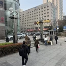 青岛旅游 缩略图 3