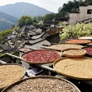 黄山旅游 缩略图 8