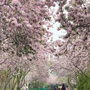 青岛旅游 缩略图 3