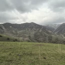 伊犁旅游 缩略图 12