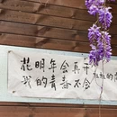 长沙旅游 缩略图 4