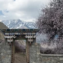 林芝旅游 缩略图 4