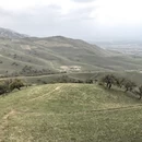 伊犁旅游 缩略图 14