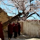 甘孜旅游 缩略图 3