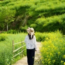 黄山旅游 缩略图 5