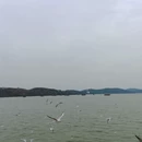 无锡旅游 缩略图 6