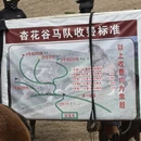 伊犁旅游 缩略图 3
