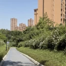 成都旅游 缩略图 17