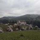 伊犁旅游 缩略图 2