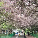青岛旅游 缩略图 7