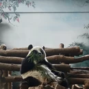 苏州旅游 缩略图 10