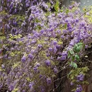 长沙旅游 缩略图 9