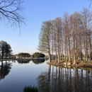 上海旅游 缩略图 16