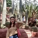 上海旅游 缩略图 4