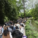 成都旅游 缩略图 1