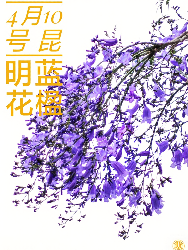 昆明旅游