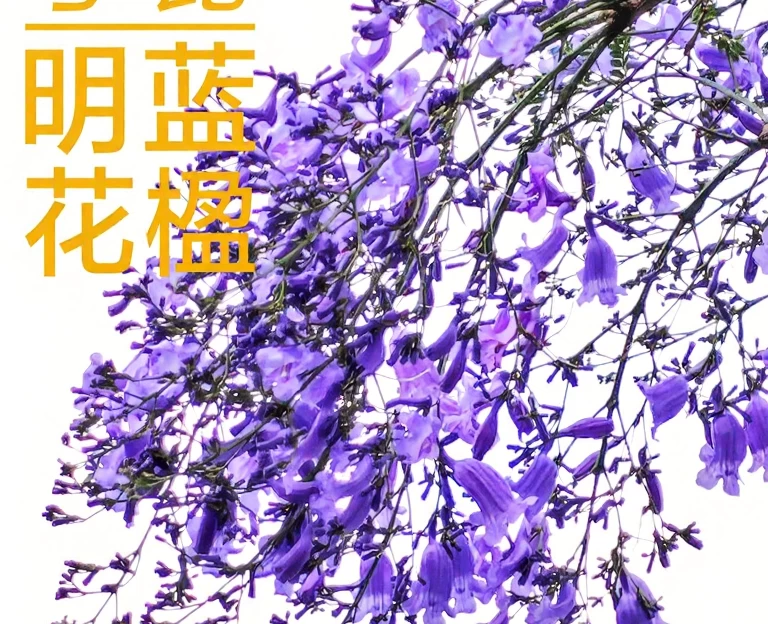 昆明旅游 1