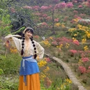 黄山旅游 缩略图 3