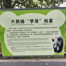 苏州旅游 缩略图 5