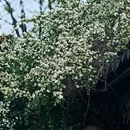 苏州旅游 缩略图 11