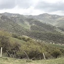 伊犁旅游 缩略图 9