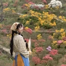 黄山旅游 缩略图 1