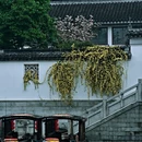 苏州旅游 缩略图 2