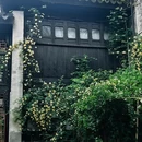 苏州旅游 缩略图 7