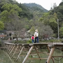 黄山旅游 缩略图 11