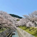 杭州旅游 缩略图 4