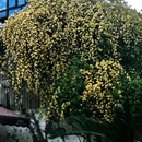 苏州旅游 缩略图 9