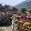 黄山旅游 缩略图 12