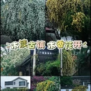 苏州旅游 缩略图 1