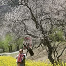 林芝旅游 缩略图 8