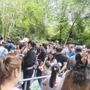 成都旅游 缩略图 2